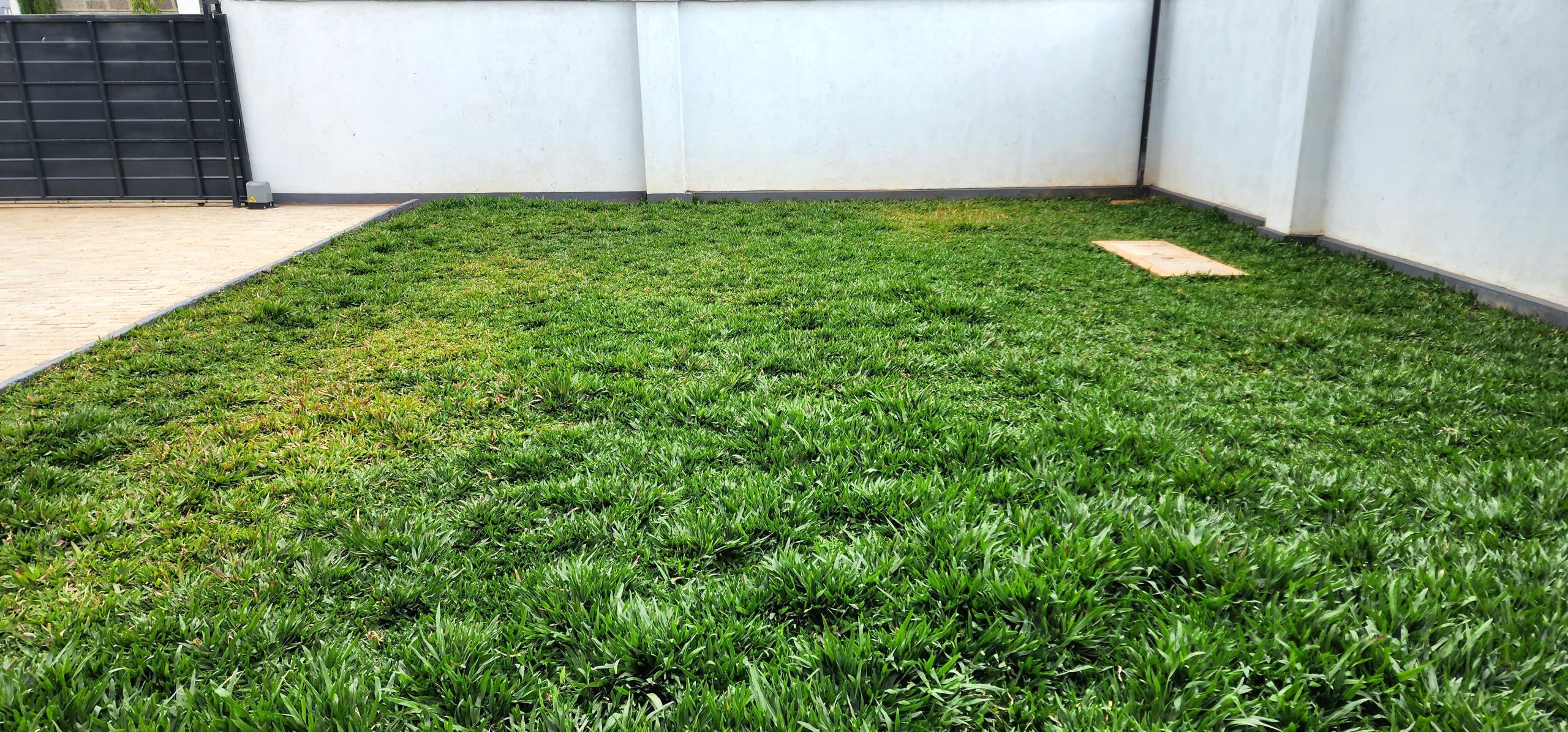 Executive Bungalows for sale in Kitengela